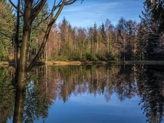 Le Morvan