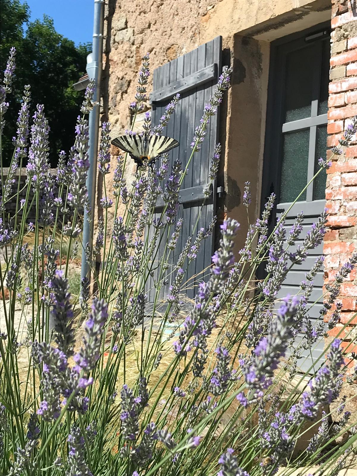 Photo 11 du gîte de la Pisserotte