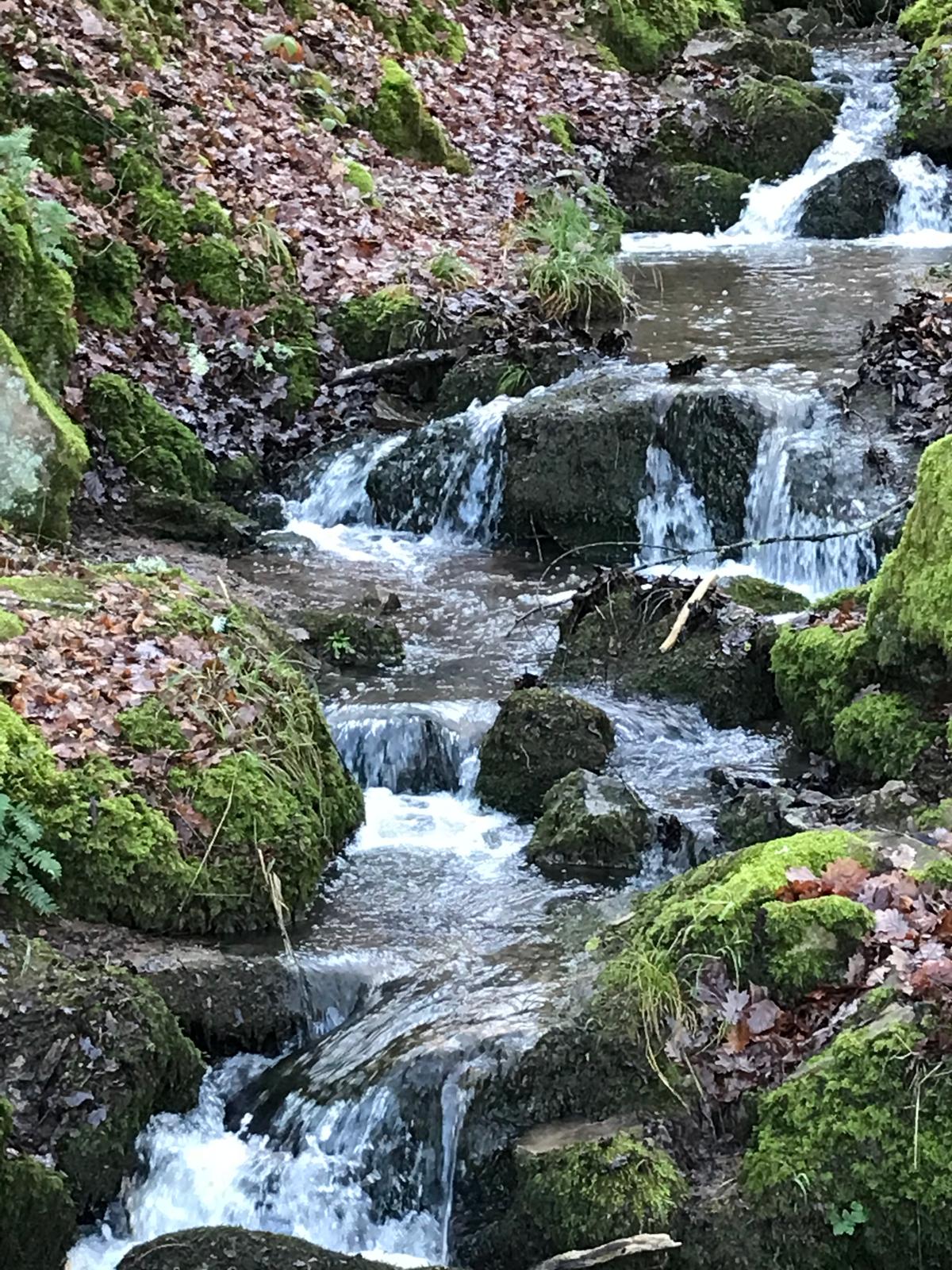 Photo 12 du gîte de la Pisserotte