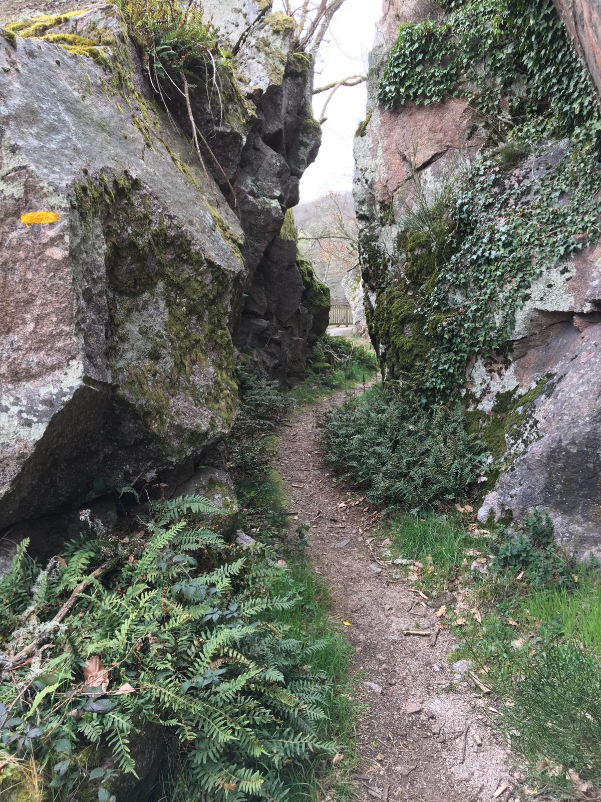 Photo 17 du gîte de la Pisserotte