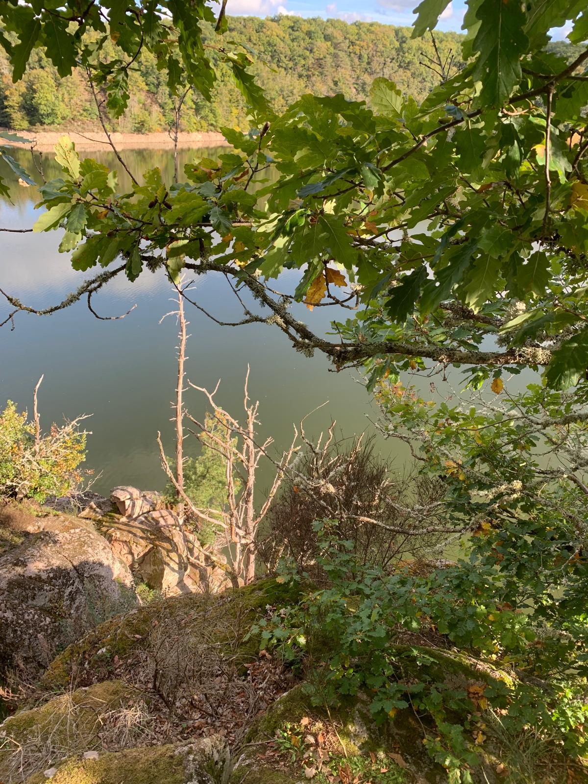 Photo 22 du gîte de la Pisserotte